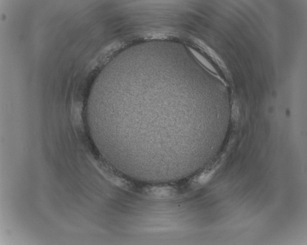 X0000076080209200610152301