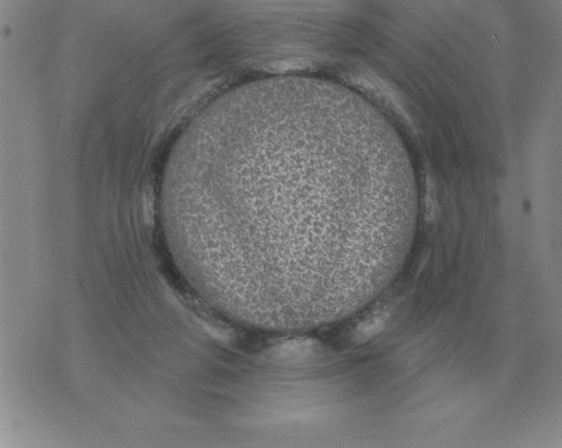 X0000076080210200610152301