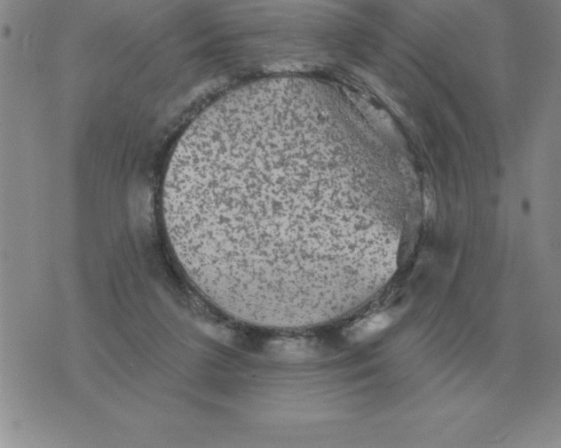 X0000076080211200610152301