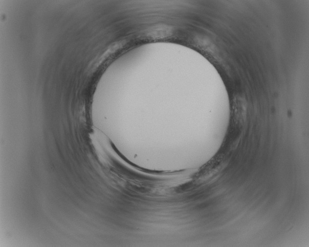 X0000076080212200610152301