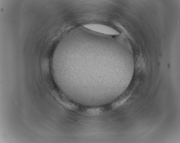 X0000076080213200610152301