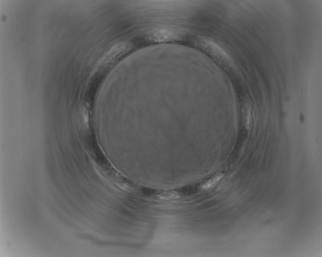 X0000076080214200610152301