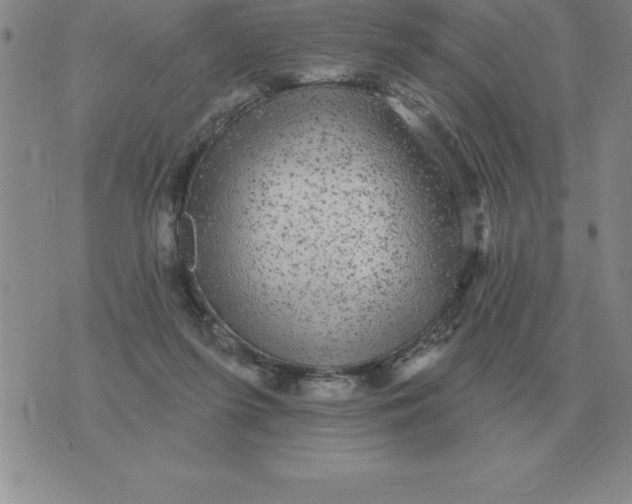 X0000076080215200610152301