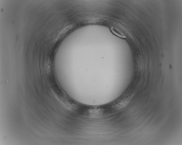 X0000076080216200610152301