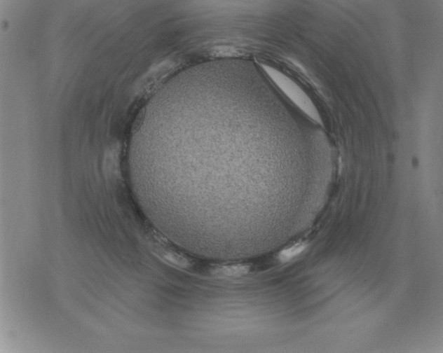 X0000076080217200610152301