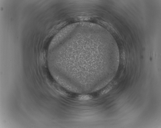 X0000076080218200610152301