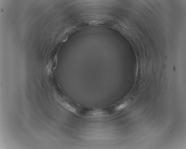 X0000076080219200610152301