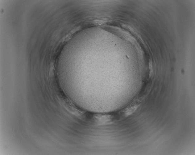 X0000076080221200610152301