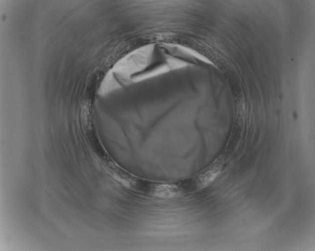 X0000076080222200610152301