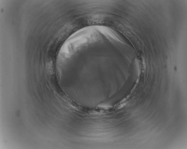 X0000076080224200610152301