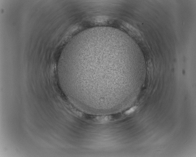 X0000076080225200610152301