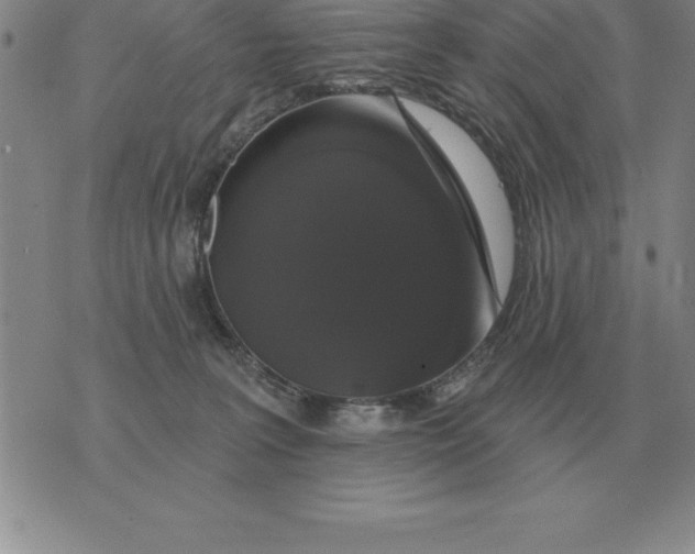 X0000076080227200610152301