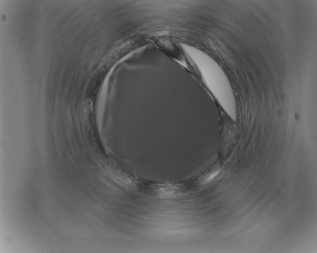 X0000076080229200610152301