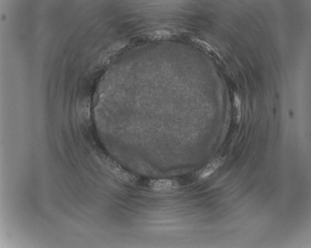 X0000076080230200610152301