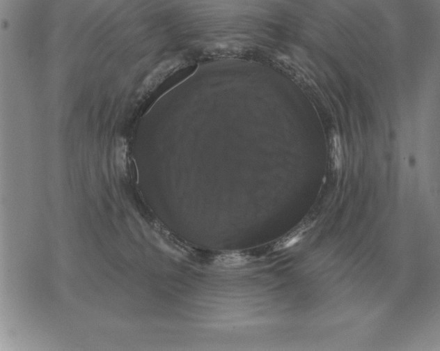 X0000076080231200610152301