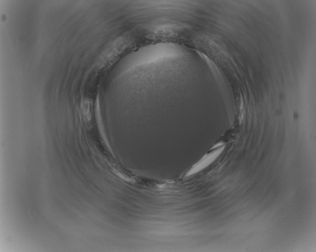 X0000076080232200610152301