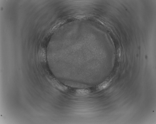 X0000076080234200610152300