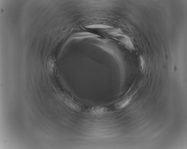 X0000076080235200610152300