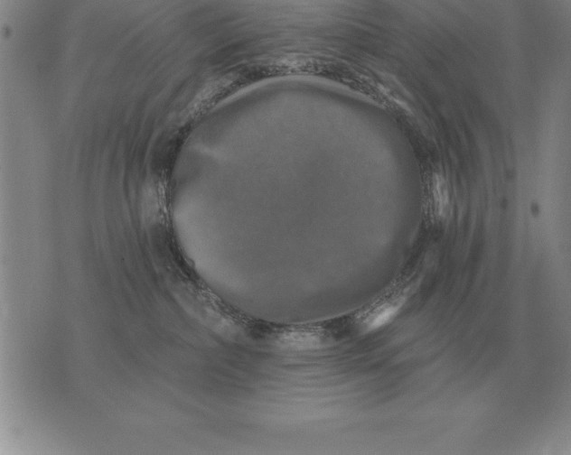 X0000076080236200610152300