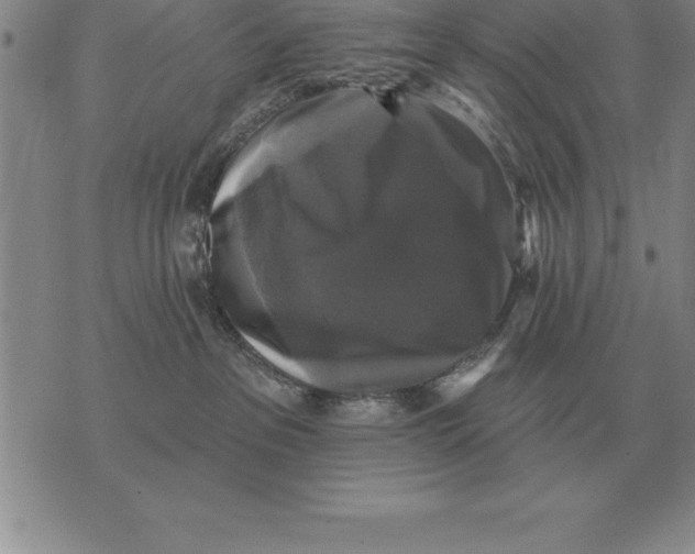 X0000076080237200610152300