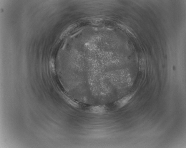 X0000076080238200610152300