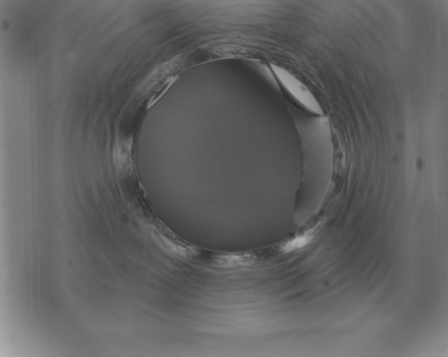 X0000076080239200610152300