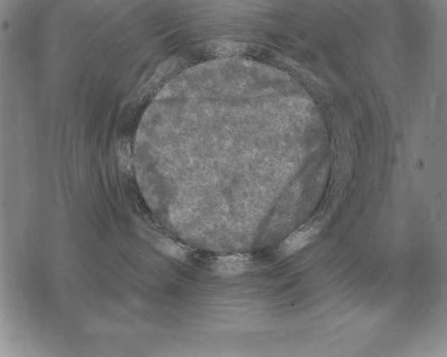 X0000076080240200610152300