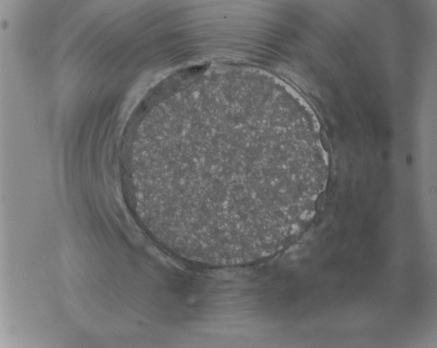 X0000076080241200610152300