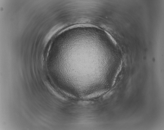 X0000076080242200610152300