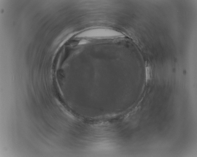 X0000076080243200610152300