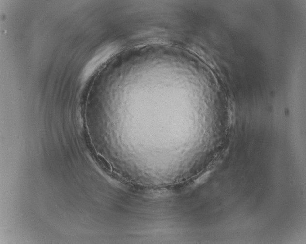 X0000076080245200610152300