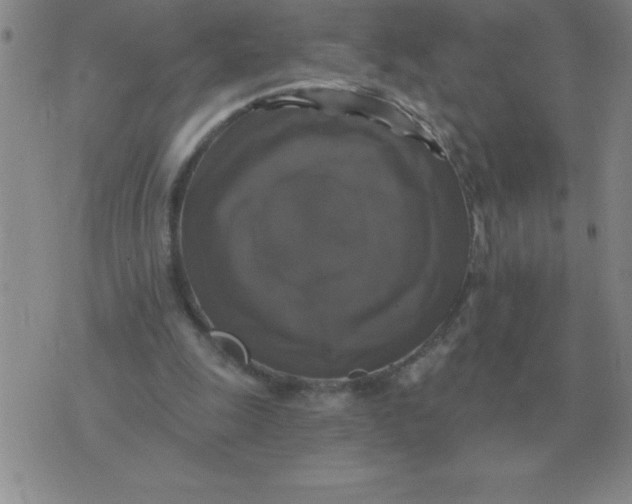 X0000076080247200610152300