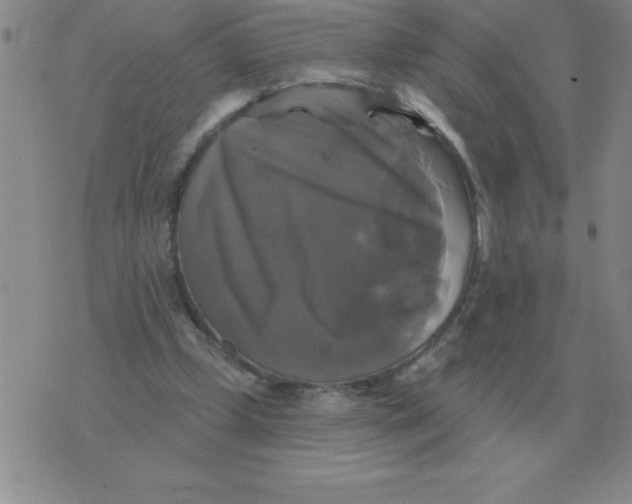 X0000076080249200610152300