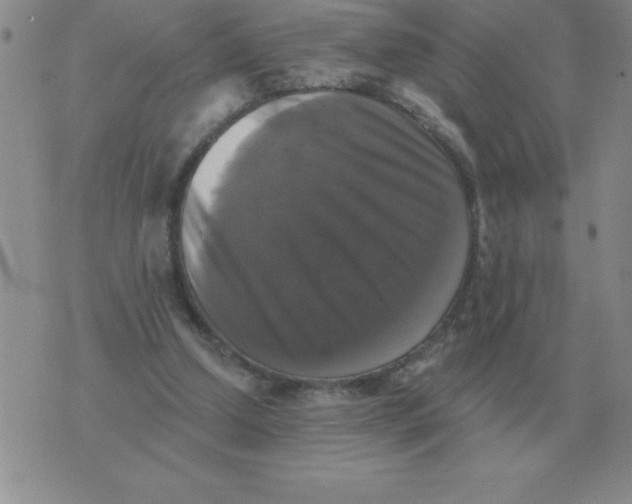 X0000076080250200610152300