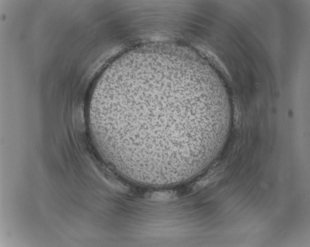 X0000076080251200610152300