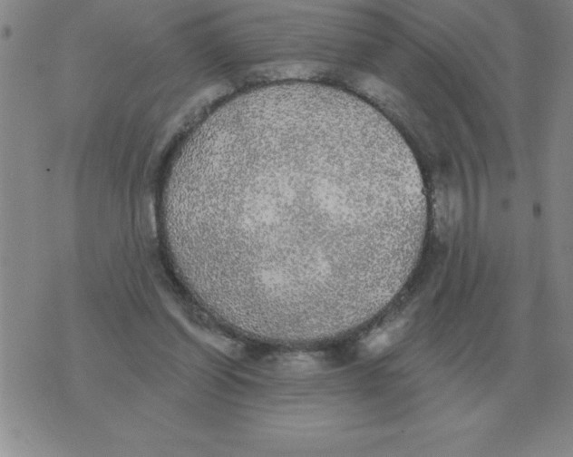 X0000076080254200610152300