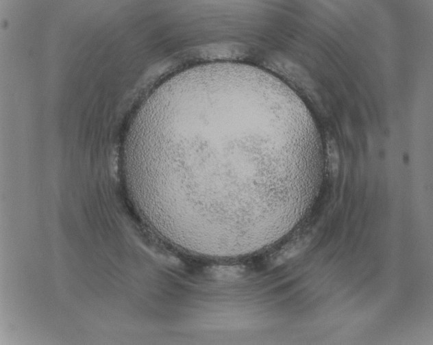 X0000076080255200610152300