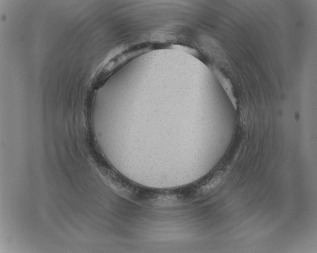 X0000076080256200610152300