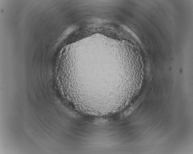 X0000076080257200610152300