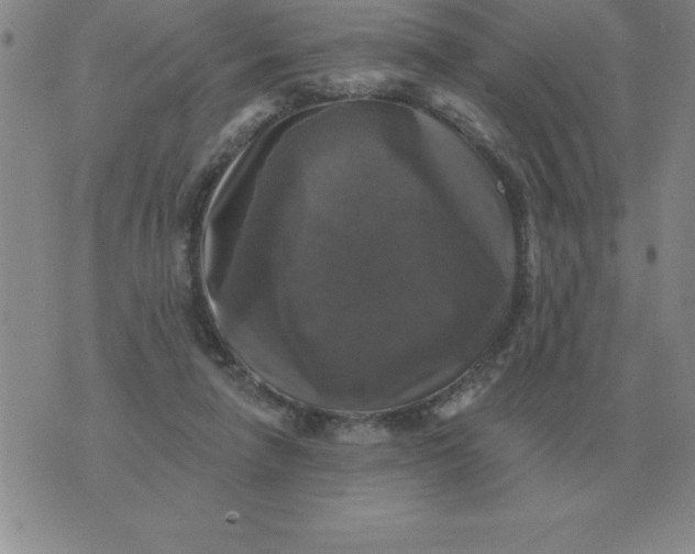 X0000076080258200610152300