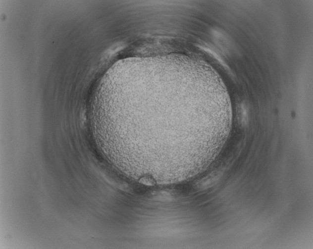 X0000076080259200610152300