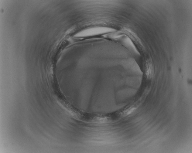 X0000076080260200610152300