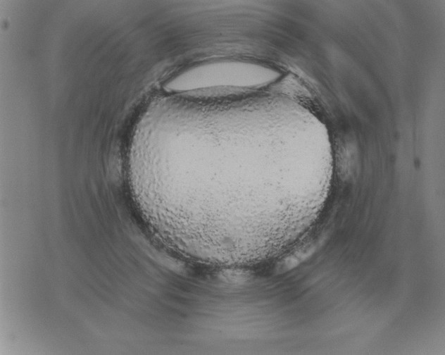 X0000076080261200610152300