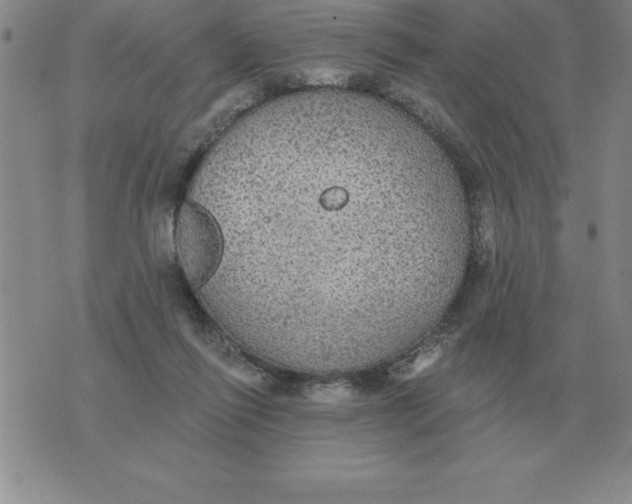 X0000076080262200610152300