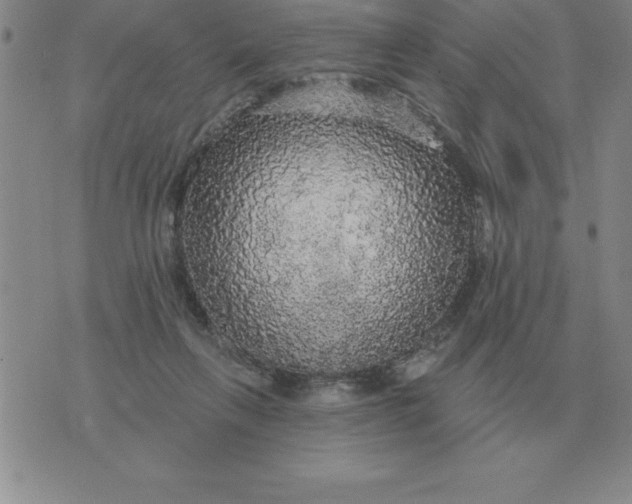 X0000076080263200610152300