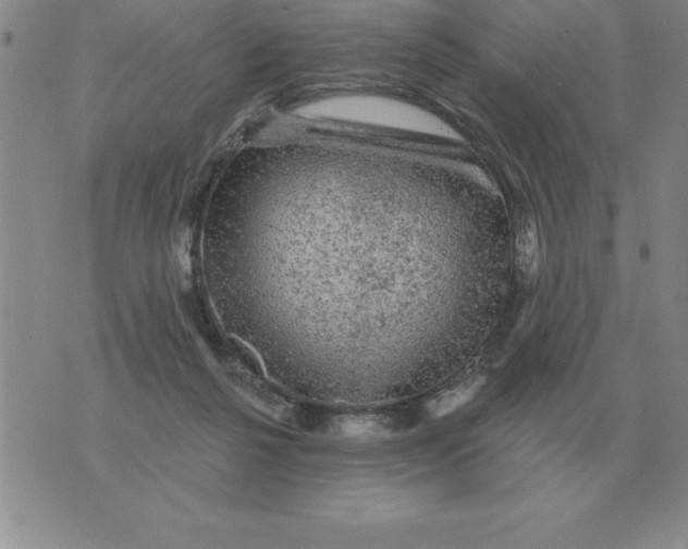 X0000076080264200610152300