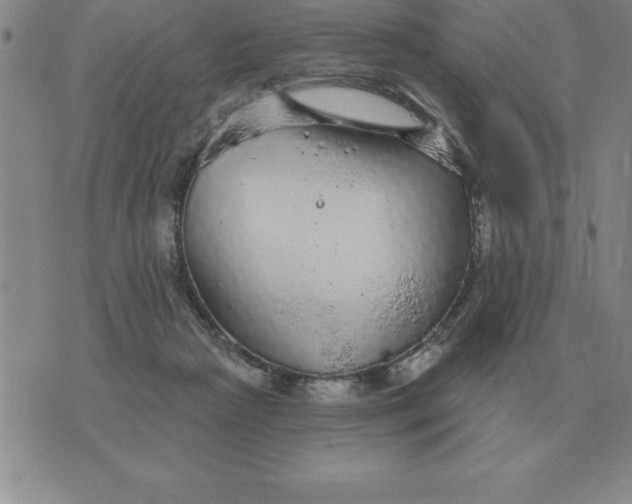 X0000076080265200610152300