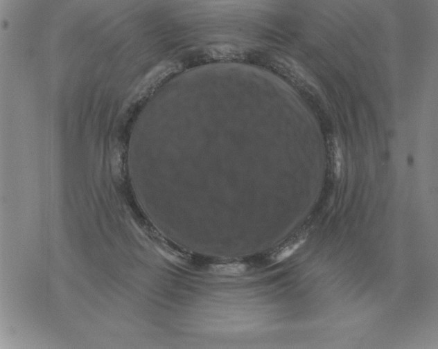 X0000076080266200610152300