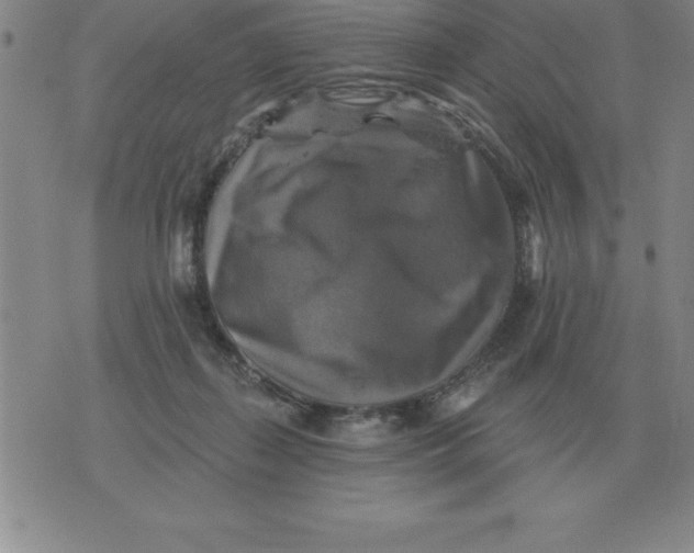 X0000076080267200610152300