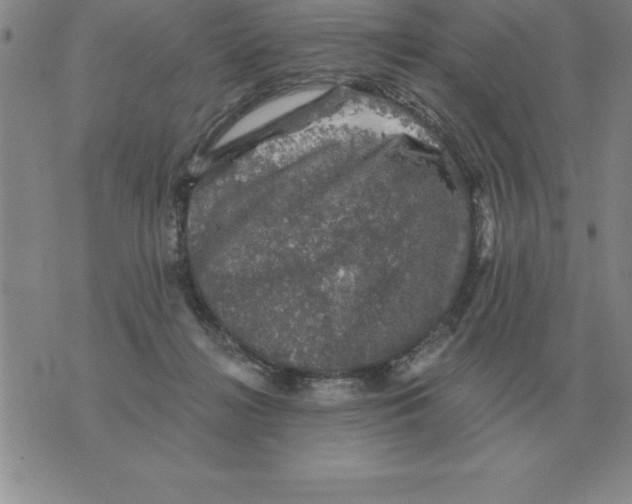 X0000076080268200610152300